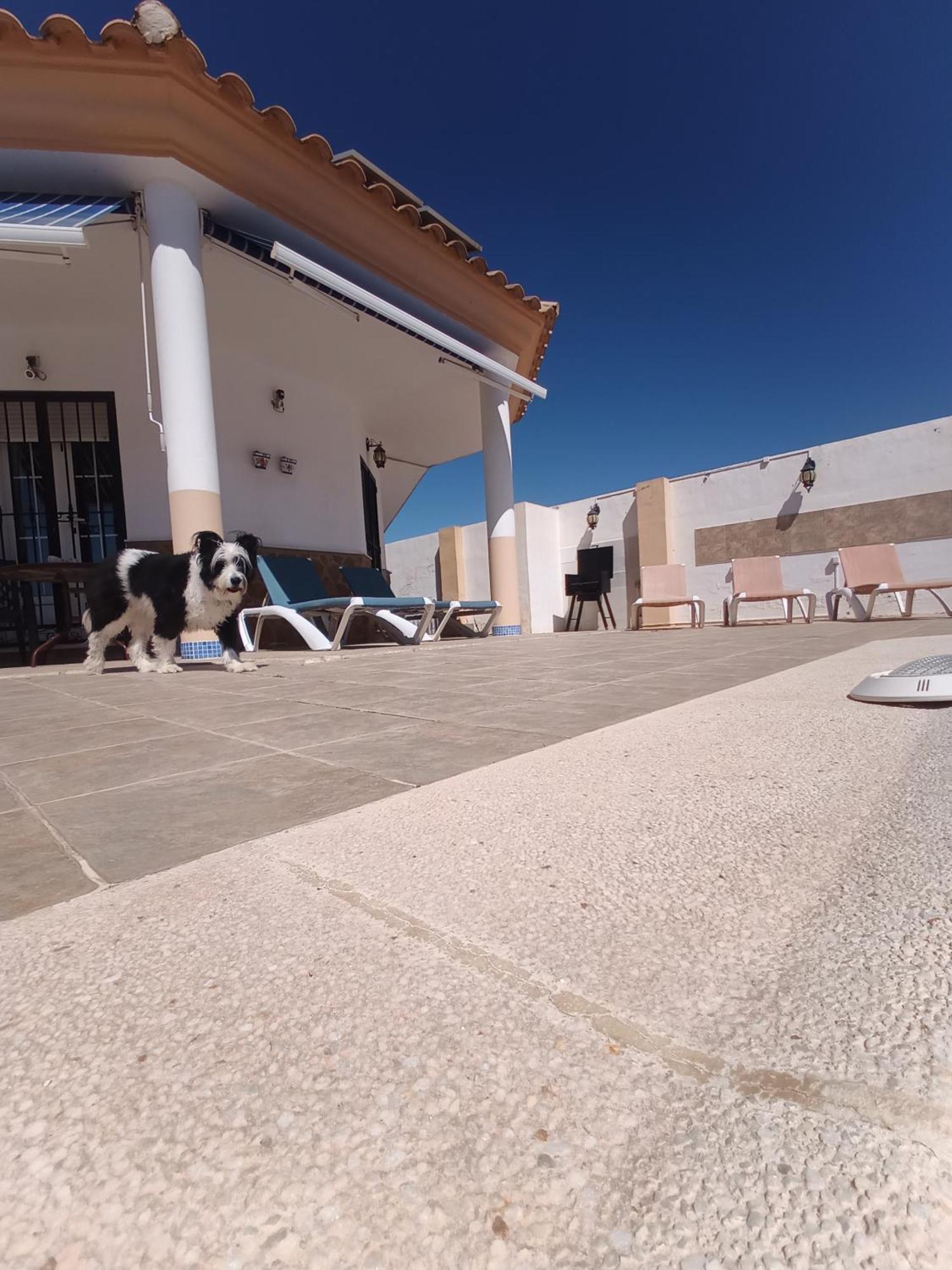 Bonita Casita Luz Del Sol Villa Arboleas Bagian luar foto